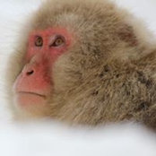 John Philibin's photo