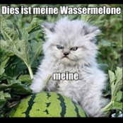 Foto von Kell Bell