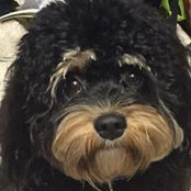 Julie Marshall's photo