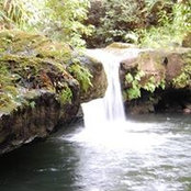Peter Guzior's photo