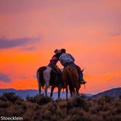 Debbie Langer's photo