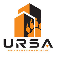 Ursa Pro Restoration