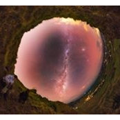 Yaron Tamuz's photo