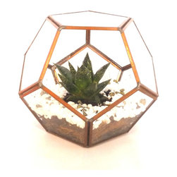 Geometric terrariums by Daring Flowers - Products