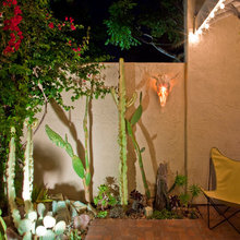 Dawn Telthorst_Fonseca's Ideas
