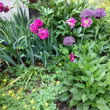 Classic cape with cottage gardens