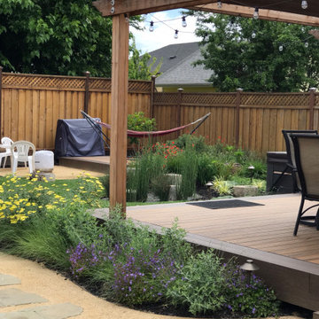 San Jose Backyard