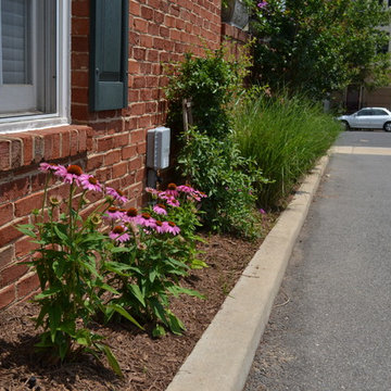 Townhouse Garden