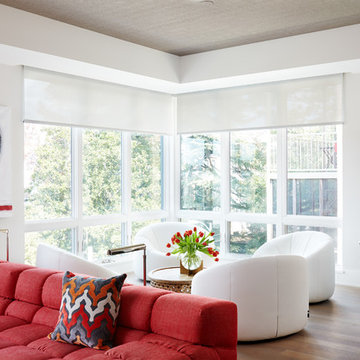 Kalorama Penthouse