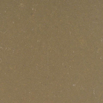 Fossil Brown