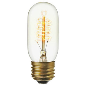 T20 10W E12 Clear Glass Light Bulb - Traditional - Led Bulbs - by  HedgeApple | Houzz