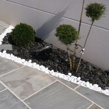 iluminación jardín