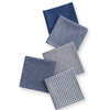 Blue Dishcloth, Set of 5