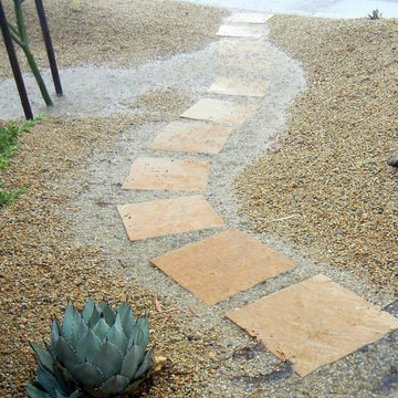 Monsoon