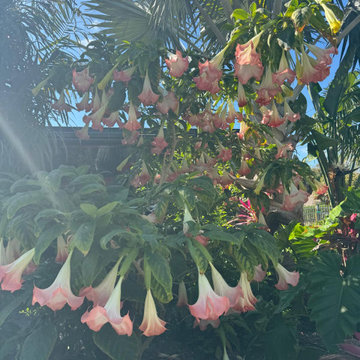 Tropical Garden & Flower Installation in Key West