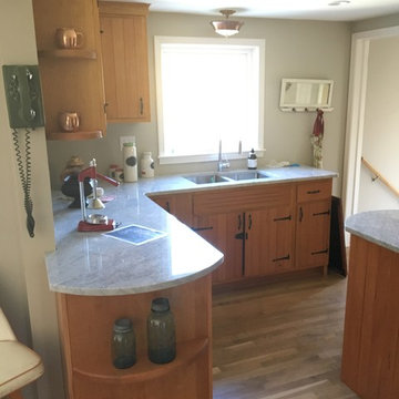 Rehab Addict season 7