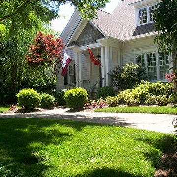 Landscape Renovation