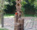 35" Tall Outdoor 3-Tier Birdhouse Water Fountain Yard Art Decor