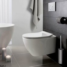 wall hung toilets
