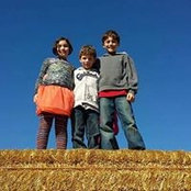 Mike Heise's photo