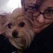 Heather Cook's photo