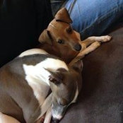 Suzanne Metzel's photo