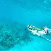 Anna Krusell's photo