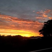 Foto von Steve Smith