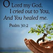Jean Campbell's photo