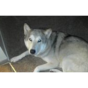 Kimberly Shewmaker's photo