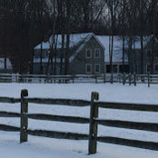 Gerald Rosenberg's photo