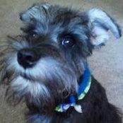 Diane Marin's photo