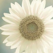 Amber Hensley's photo