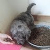 Saar Deschepper's photo