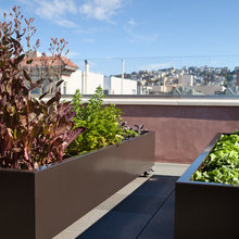 Raised Bed Gardening