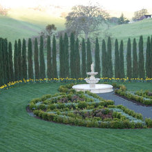 Landscape Ideas