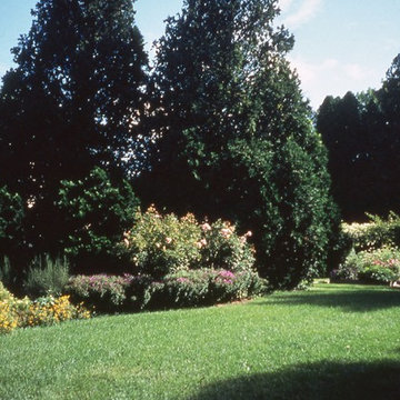A New England Garden
