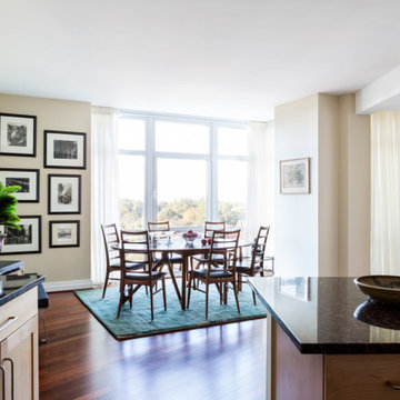 Contemporary Renovation