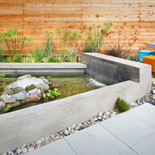 Landscape Ideas