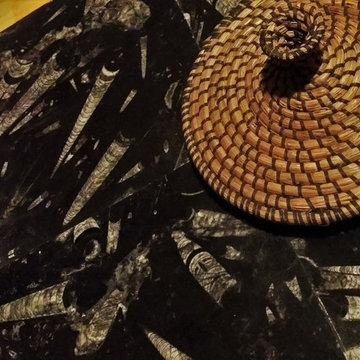 Ancient Seabed Natural Fossil Stone Collection Black (Kajal) Tiles