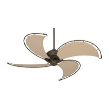 Ceiling Fans