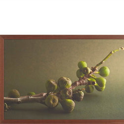 FIG PLANT WALL ART - Prints And Posters