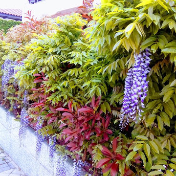 Jardín en la Sierra Norte