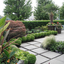 Landscape Ideas