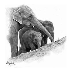 Family Asian Elephants - Fine Art Prints