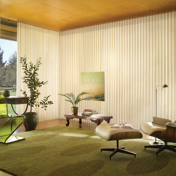 Hunter Douglas Eclectic Window Treatments and Draperies