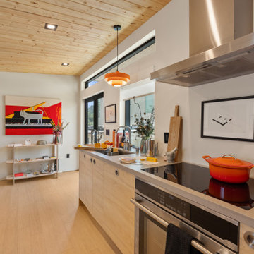 Modern ADU w/ Art Gallery & Rooftop Deck- NextGen Home Builders in Highland Park