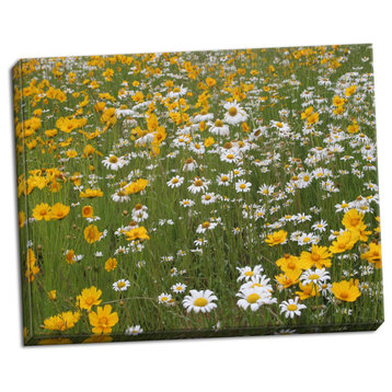 Fine Art Photograph, High Meadow II, Hand-Stretched Canvas