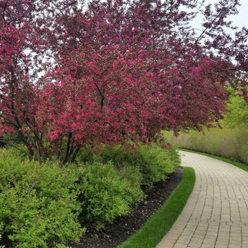 Stewardship of the Iconic Baha'i Temple Landscape