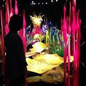 Winnie Callough's photo